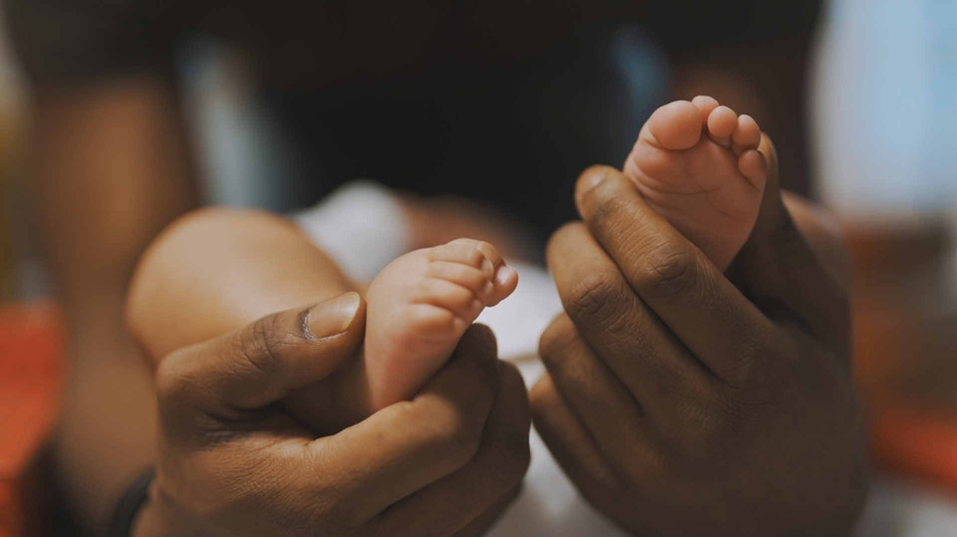 caring-svc-adoption